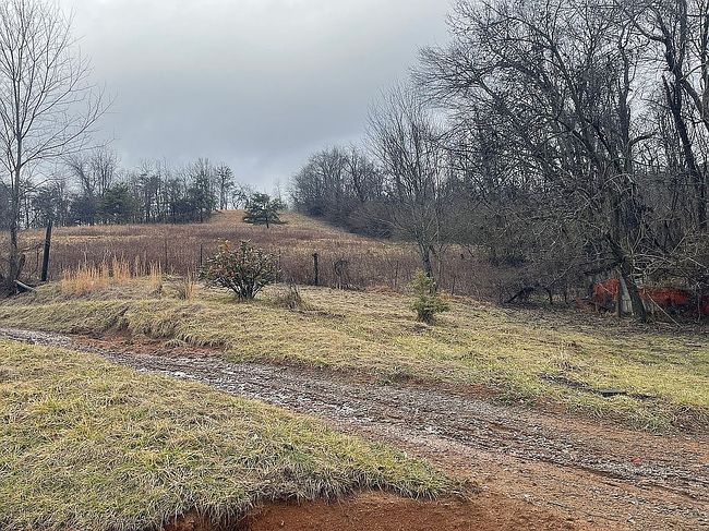 Image of 13489 Brinkley Rd