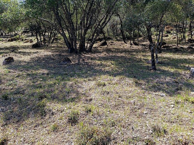 Photo of 5369 Monterey Pl, Kelseyville, CA