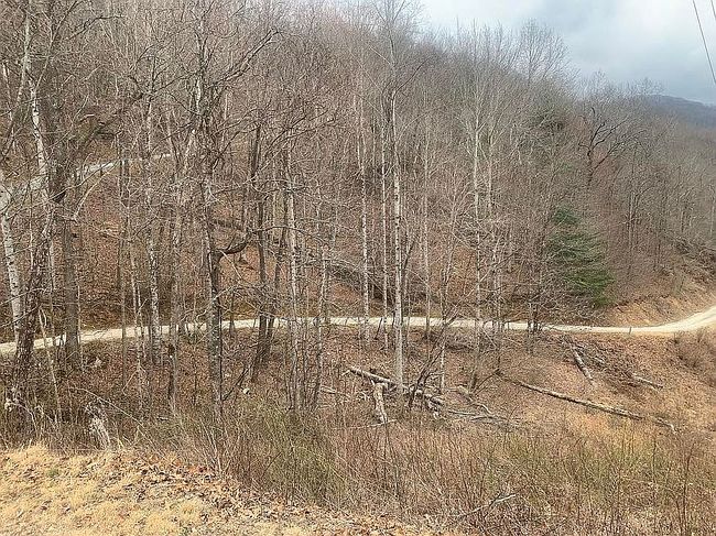 Photo of 39 Blue Bird Ln, Glenville, NC