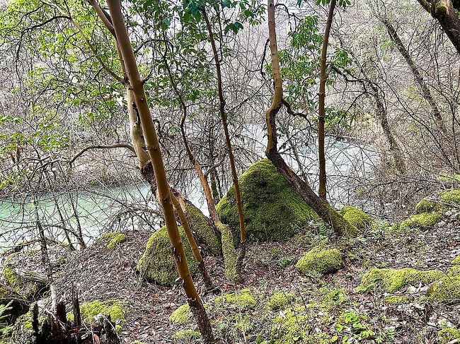 Image of 2000 Cobleigh Rd