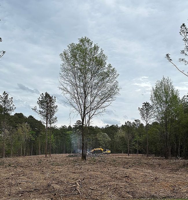 Photo of 161 Highway 1199, Elmer, LA