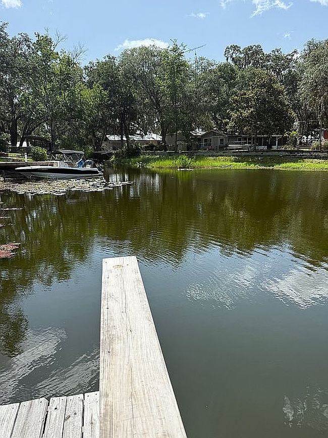 Photo of 20920 Ne 142nd Pl, Salt Springs, FL