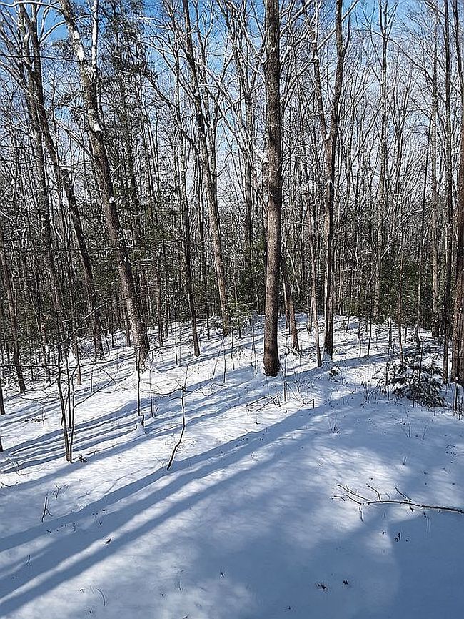 Image of 265 Finger Board Rd