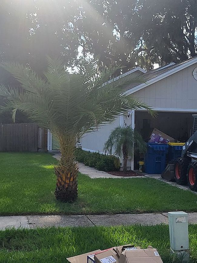 Photo of 1406 Cove Landing Dr, Jacksonville, FL