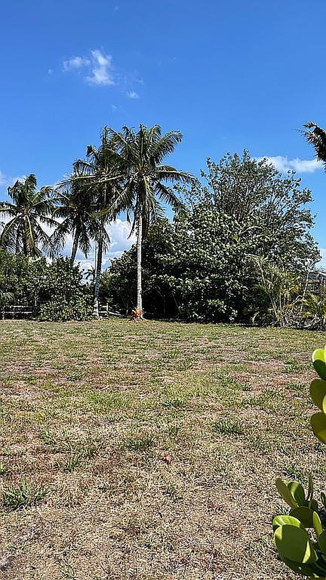 Image of 1564 Biscayne Way