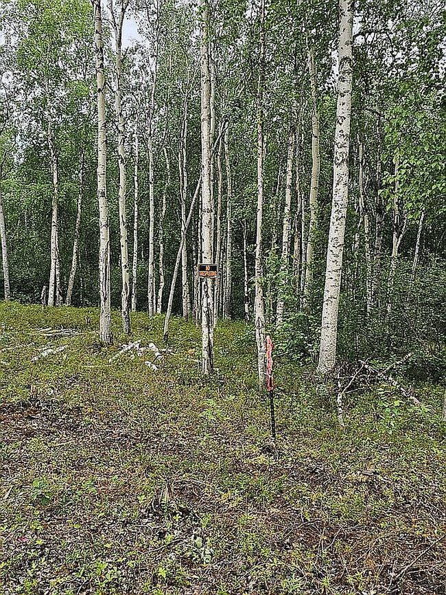 Photo of 4531 Treasure St, Fairbanks, AK