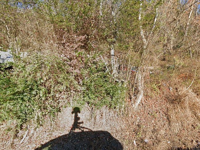 Photo of 3901 Greenway Dr