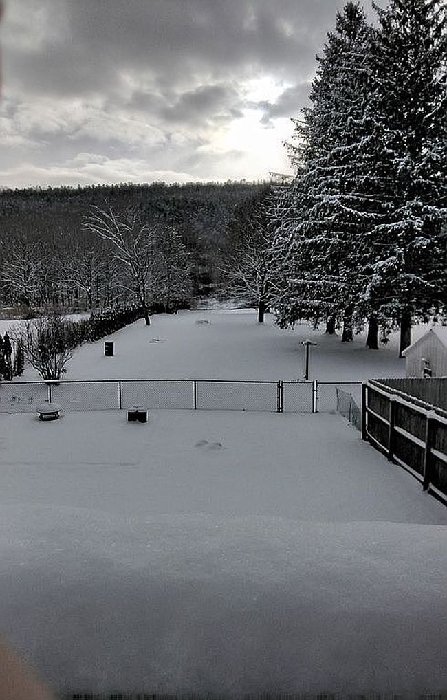 Photo of 11 Delellas Ln, Pt Jervis, NY