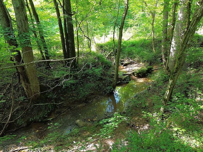 Image of 2117 Mason Hollow Rd