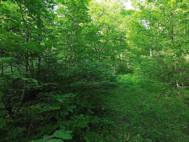 Image of 2117 Mason Hollow Rd