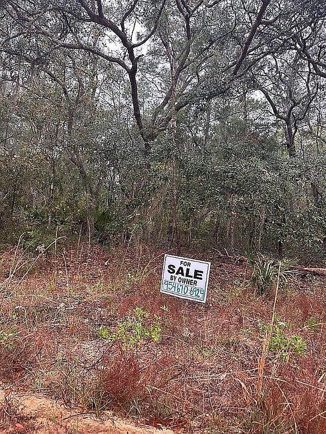 Photo of Lakes Estates, Interlachen, FL