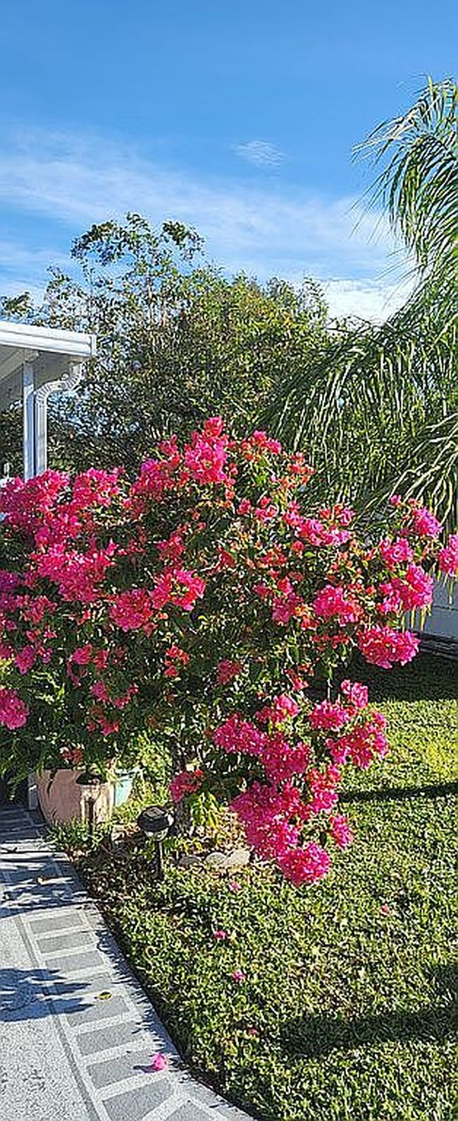 Photo of 420 49th St E Lot 71, Palmetto, FL