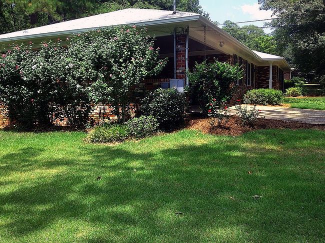 Image of 252 Skyland Dr