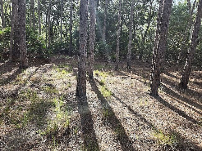 Photo of 0 County Road 42 Lots 47-56, Paisley, FL
