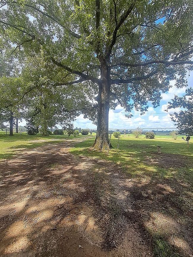 Photo of 168 Jones Dean Rd, Climax, GA