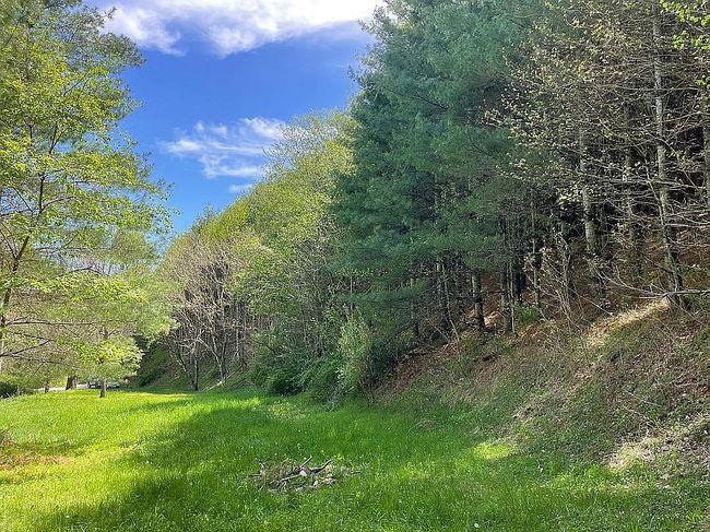 Image of 413 Low Gap Rd