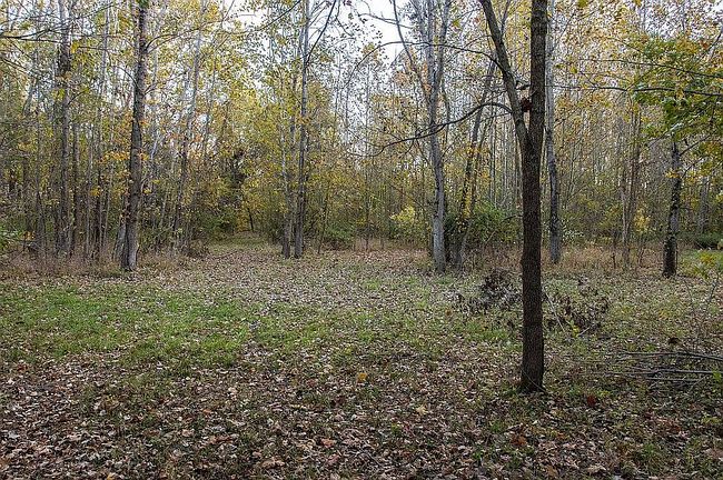 Additional photo 3 of property located at 0 E Mckenna Rd