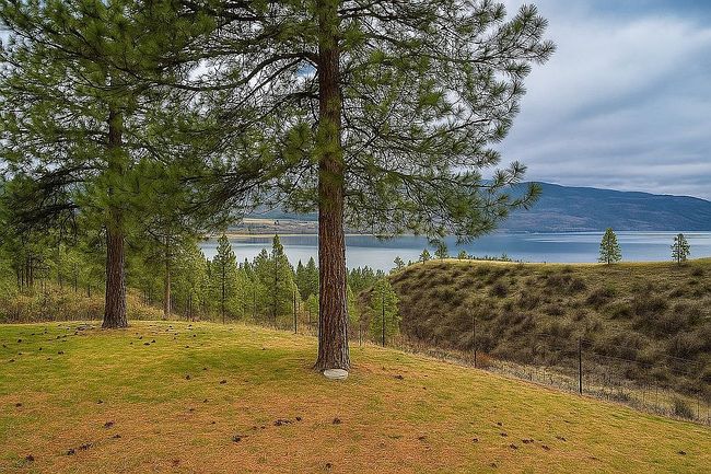 Photo of 42985 Miles Creston Rd N, Davenport, WA