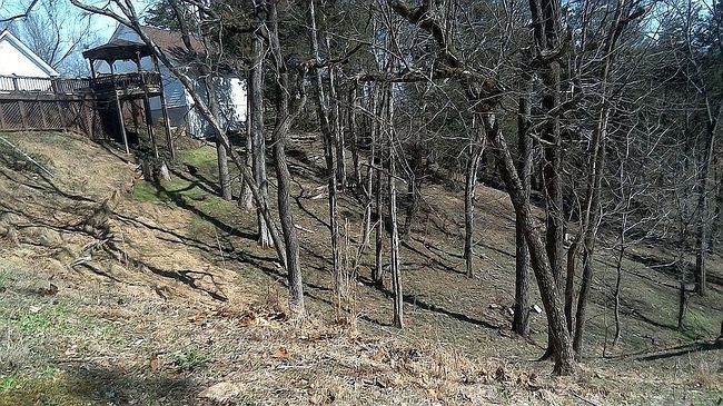 Image of 517 Colson Dr