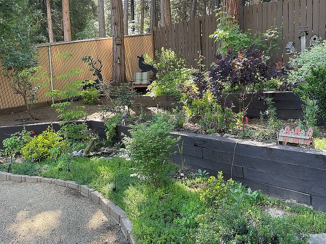Photo of 54429 S Circle Dr, Idyllwild, CA