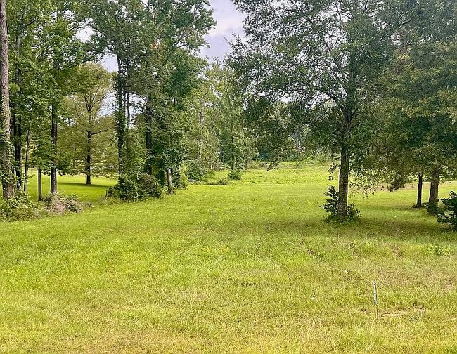 Photo of 6906 Monroe Hwy, Ball, LA