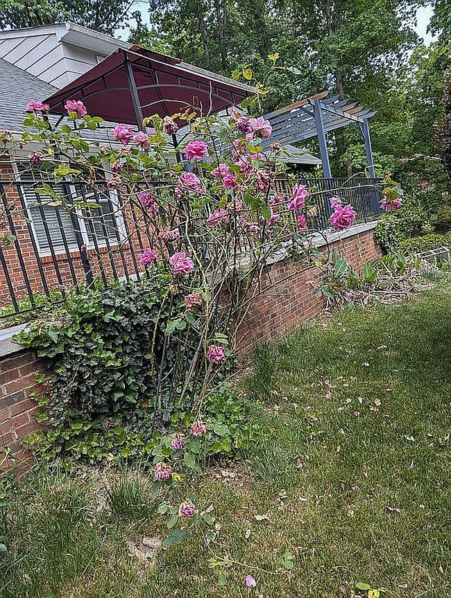 Image of 3223 Wood Dale Rd