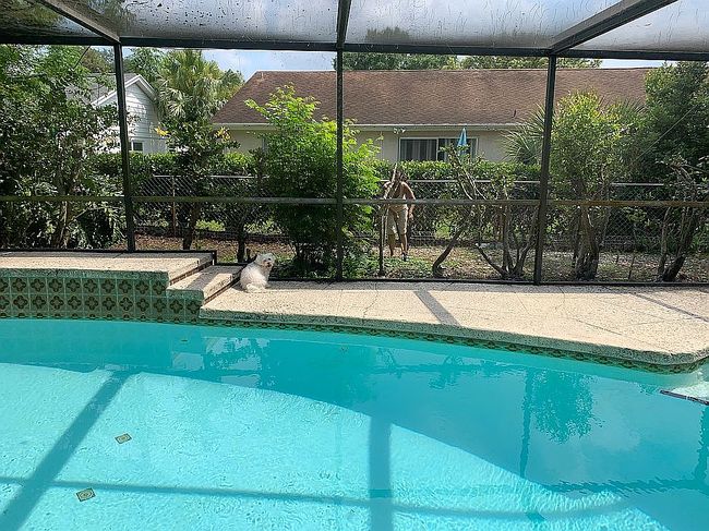 Photo of 8516 Forest Glade Dr, Hudson, FL