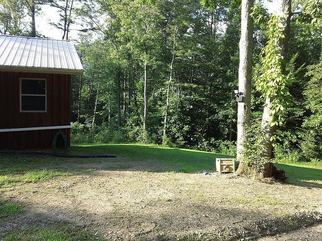 Image of 980 Wolf Run Rd