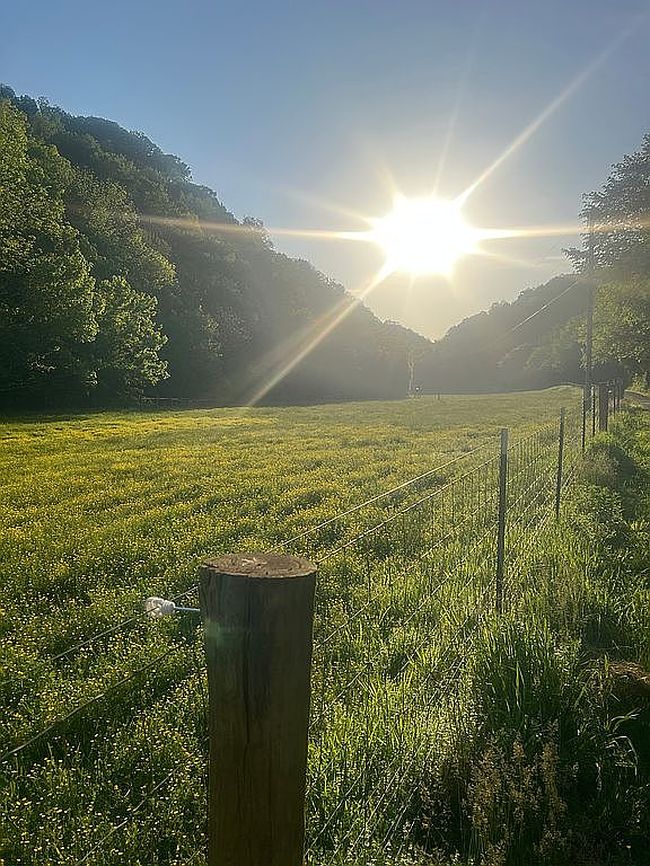 Photo of 1611 Knob Creek Rd, Celina, TN