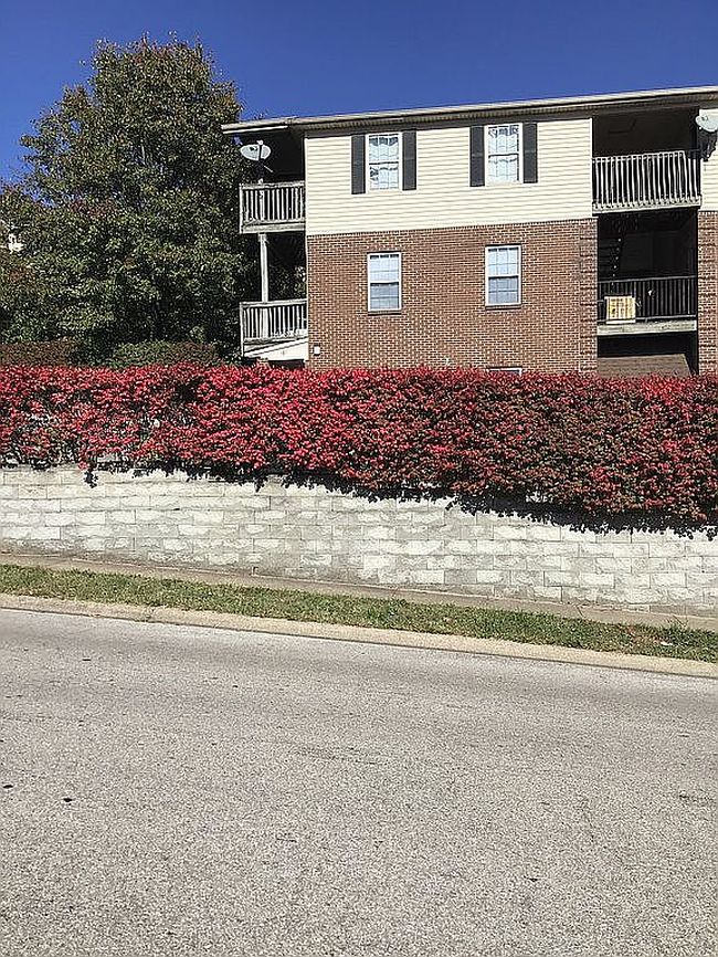 Image of 161 Elkhorn Meadows Dr