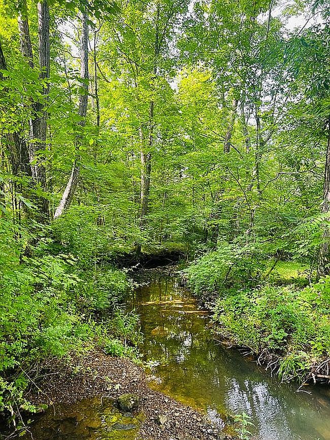 Photo of 3306 Pleasant View Rd, Caneyville, KY