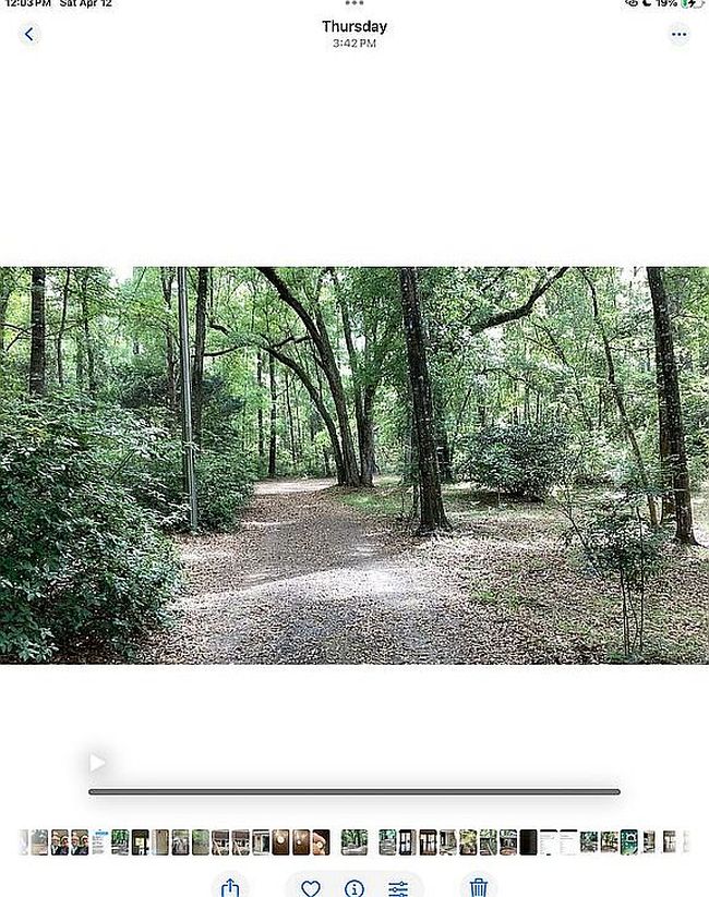 Image of 399 Martins Landing Rd