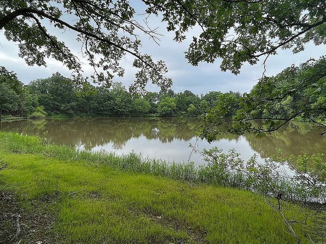 Image of 739 Country Aire Pl