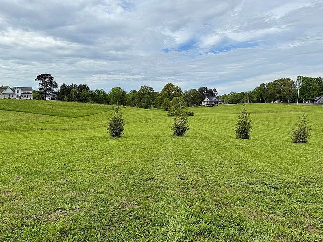 Image of 000 Scale Rd