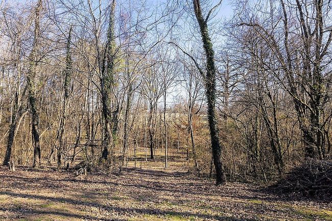 Image of 3118 Wildwood Rd