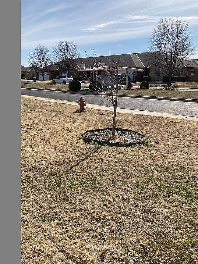 Image of 509 Saint Andrews Cir
