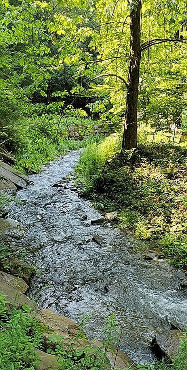 Image of 175 Close Hollow Rd