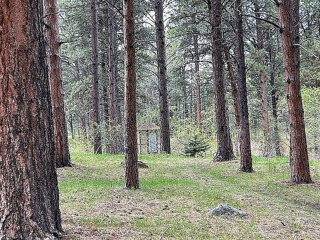 Photo of 46 Fawn Trl, Story, WY