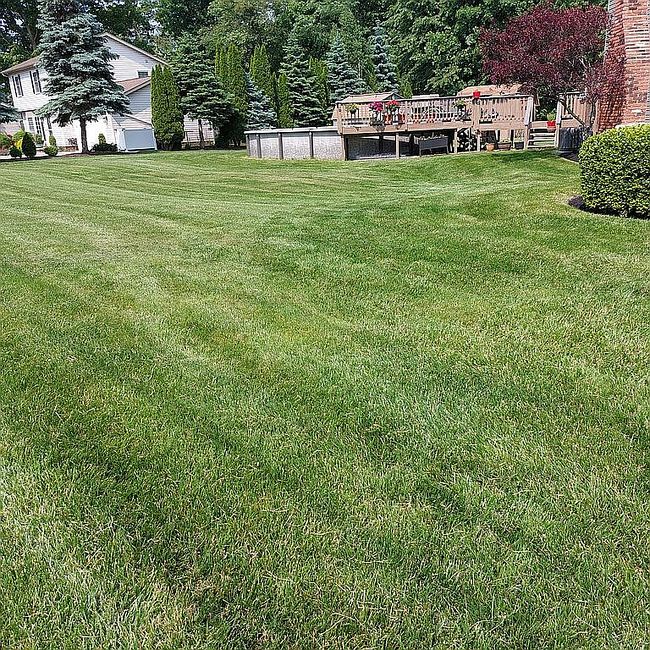 Photo of 7351 Ford Dr