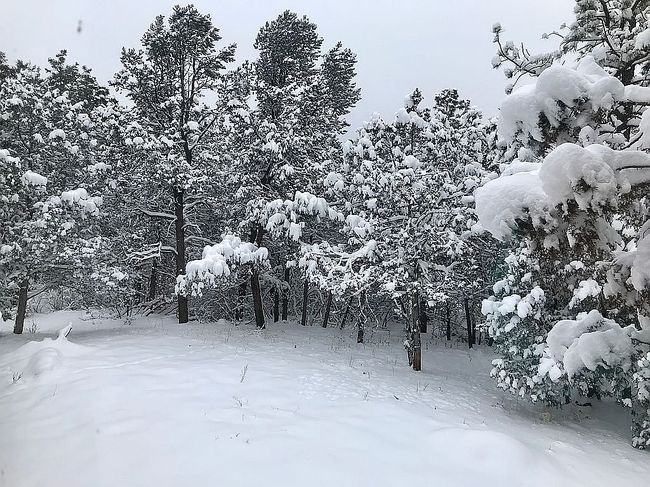 Image of 2 Log House Rd