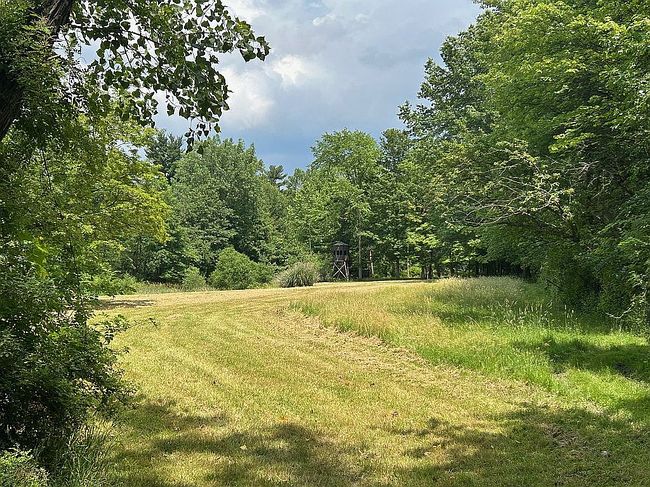 Image of 8963 Abbey Rd