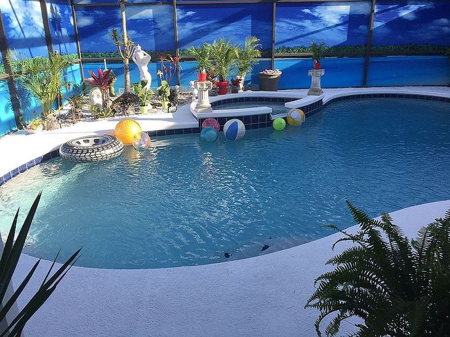 Image of 3353 Pell Mell Dr