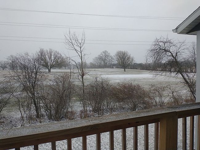 Image of 1316 Water Pointe Ct