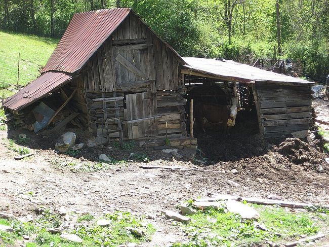 Photo of 105 Home Place Rd, Maggie Valley, NC