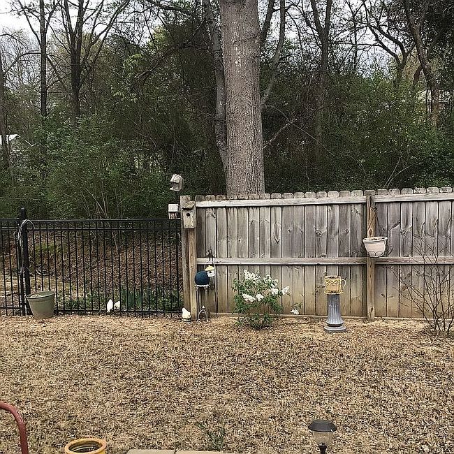 Image of 609 Key Largo Dr