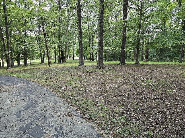 Photo of 590 Great Country Estate Rd, Hawesville, KY