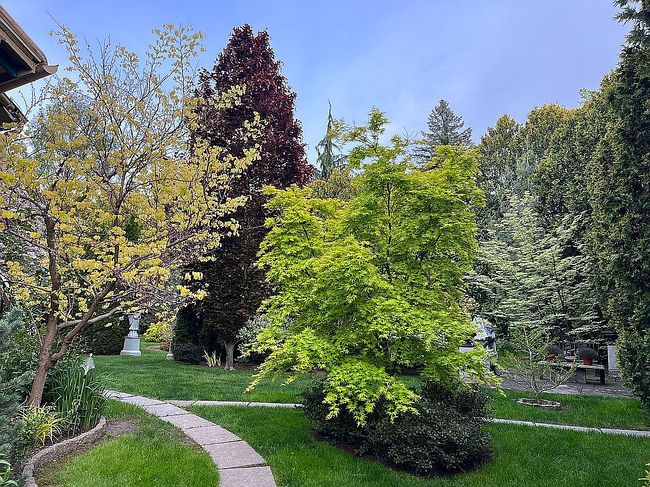 Photo of 610 S Market St, South Williamsport, PA