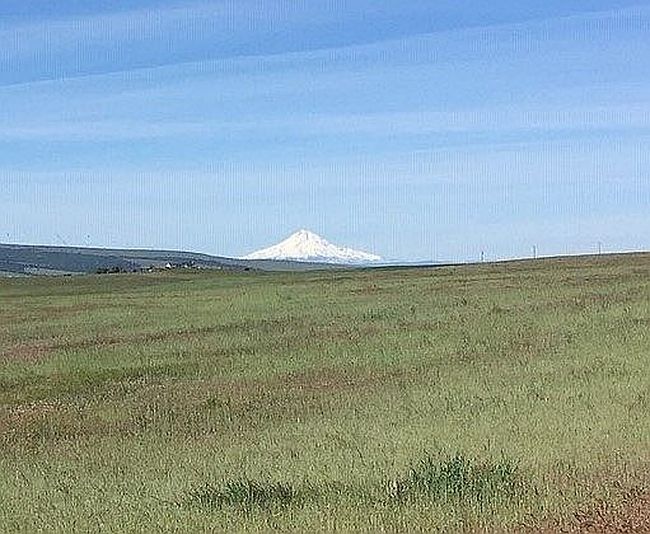 146 Three Spurs Loop, Goldendale, WA