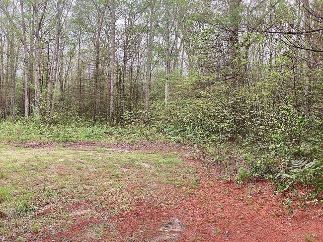 Image of Fire Ln #3