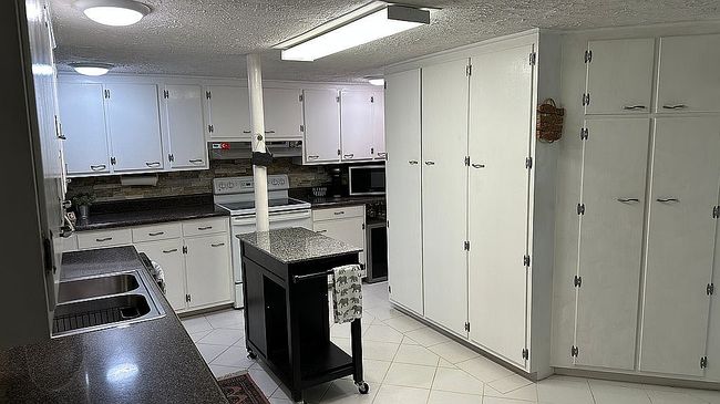 Image of 1711 Snow Lake Dr